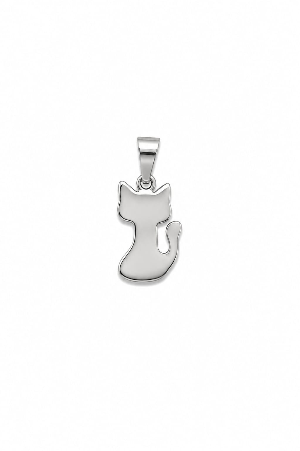 Charm Gattino