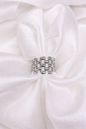 Anello Catena