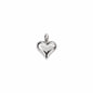 Charm Bubble Heart
