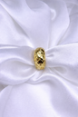 Anello Intreccio
