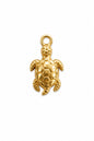 Charm Tartaruga